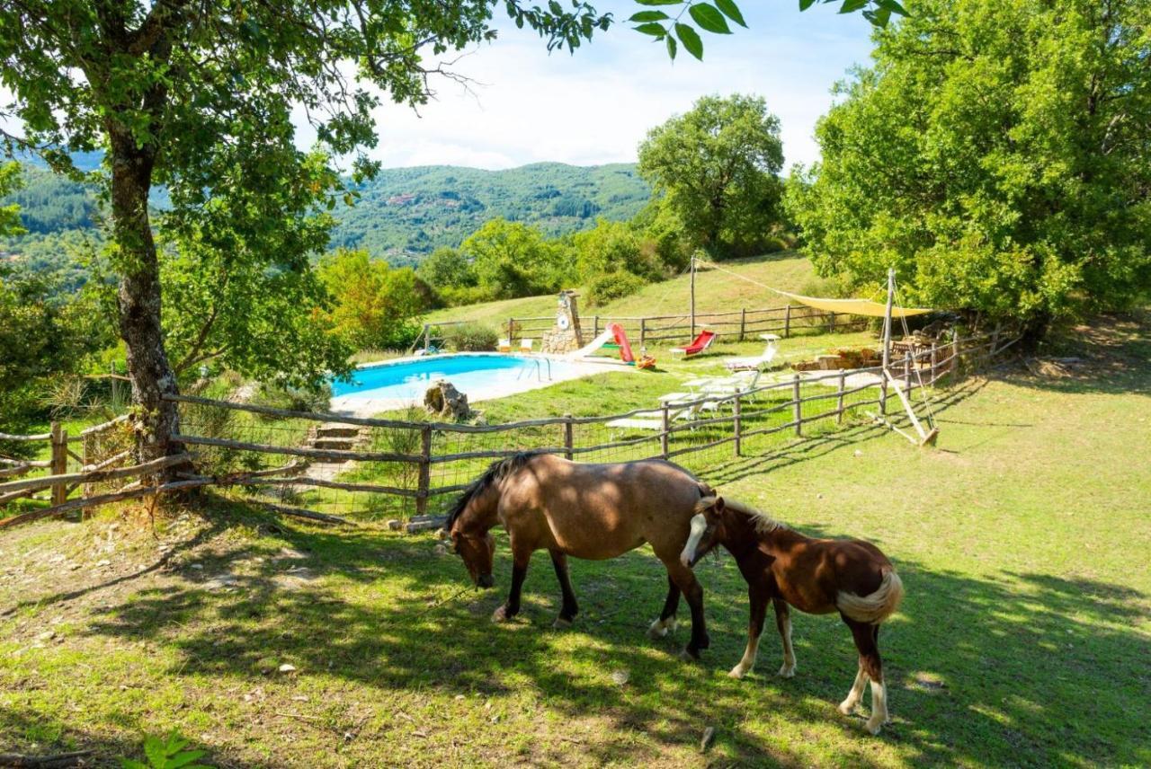 Villa Bellavista Arezzo Zewnętrze zdjęcie
