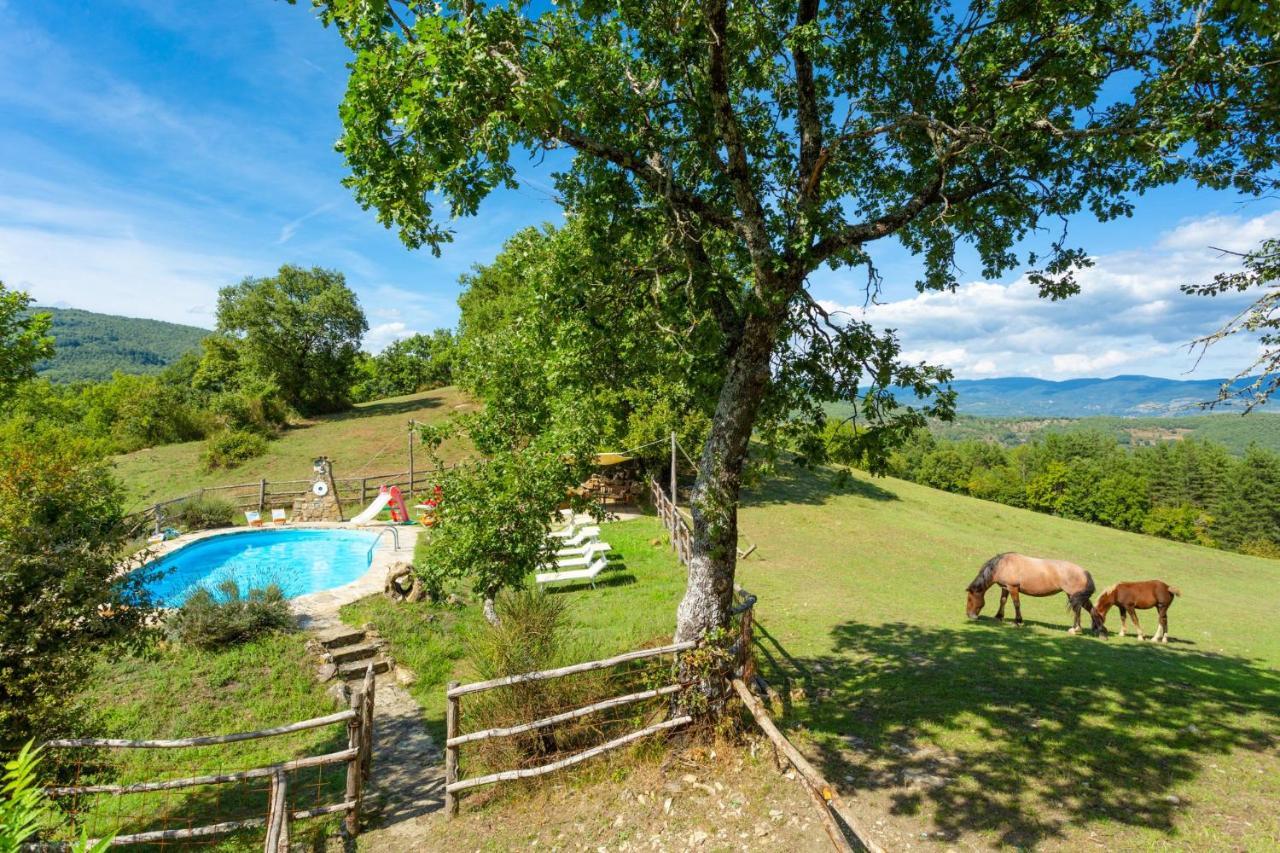 Villa Bellavista Arezzo Zewnętrze zdjęcie